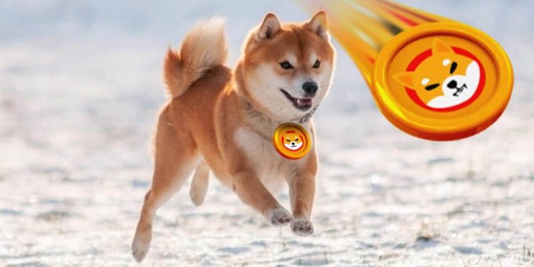 Dogecoin and Shiba Inu: Dogecoin bounced back to EMA200