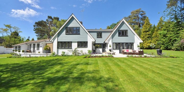 Non-Bank Lending Rises from 19% to 41% in UK