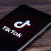 TikTok is working on a clone of its recommendation algorithm