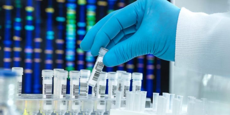 The History and Future of DNA Profiling