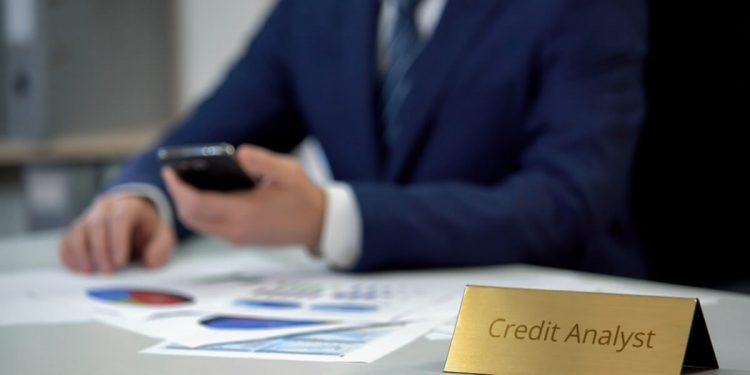 Credit Risk Analyst: Key Responsibilities and Skills