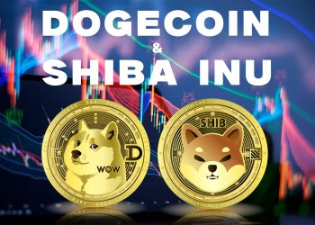 Dogecoin and the Shiba Inu: Dogecoin is failing to stabilize