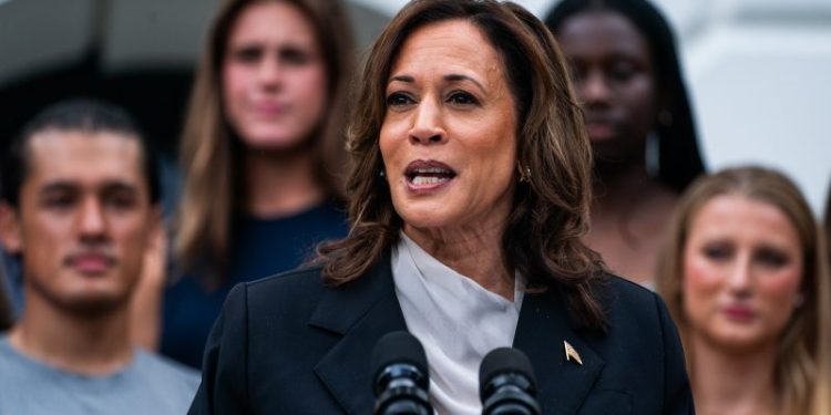 Harris allies look to bring former Obama adviser David Plouffe onto campaign