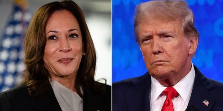 Pollster finds ‘astounding change’ in Democratic electorate since Harris’ ascension