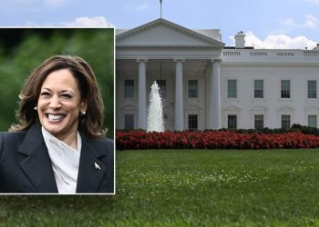 How Vice President Kamala Harris got started in politics