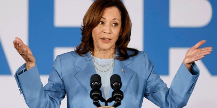 10 Democrats Vice President Kamala Harris could name as her 2024 running mate