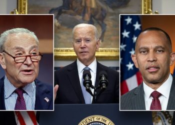 Schumer ‘forcefully’ told Biden he should drop his re-election bid: Report