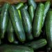 FDA declares cucumber-linked Salmonella outbreak over after 155 hospitalized
