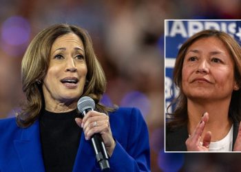 Harris campaign manager ignores press conference question as VP hits 33 days without one