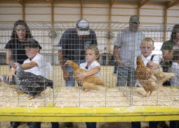 In red district Walz once held, a stark urban-rural divide over his record