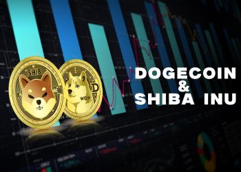 Dogecoin and Shiba Inu stable as of this morning on support