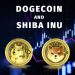 Dogecoin and Shiba Inu: Dogecoin pulled back to a new low