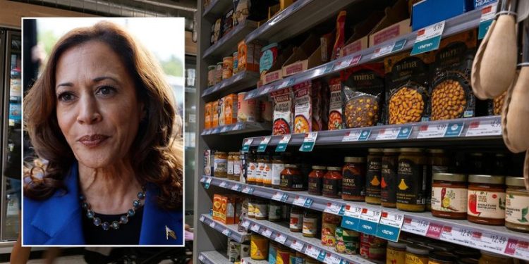‘Nail in the coffin’: Grocer turned House lawmaker trashes Kamala Harris’ price control plan
