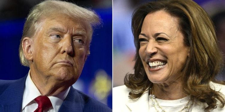 DAVID MARCUS: Kamala Harris’ newest vibe is fading momentum
