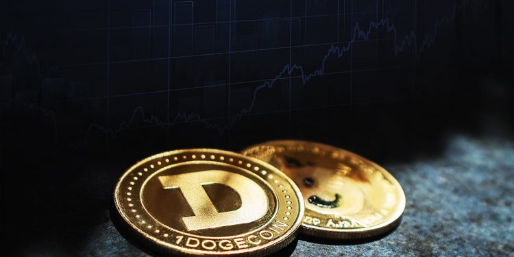 Dogecoin and Shiba Inu: Dogecoin in retreat since last night