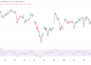 S&P 500 Slide 0.48% as Wall Street Weighs Tech Earnings