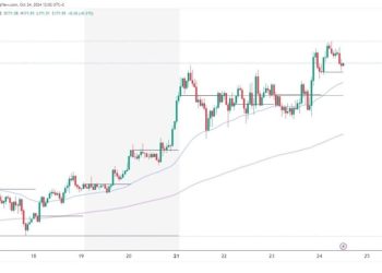 Solana and Cardano: Cardano drops to new weekly low