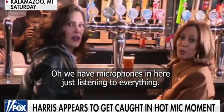 Harris caught on hot mic admitting her campaign is struggling with male voters