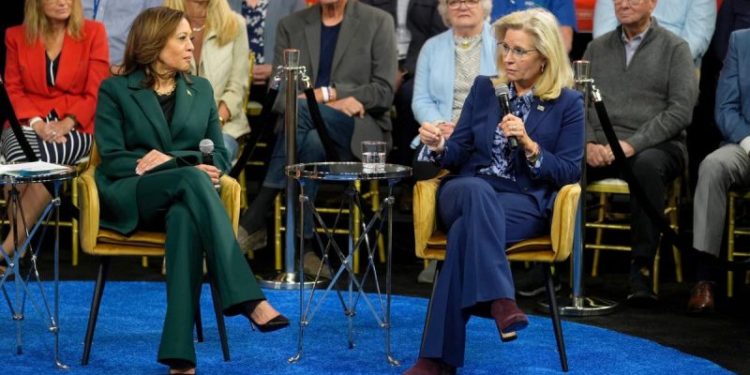 Liz Cheney predicts ‘millions of Republicans’ will vote for Harris: ‘Vote your conscience’