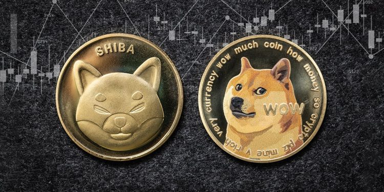 Dogecoin and Shiba Inu: New Support and Resistance Levels