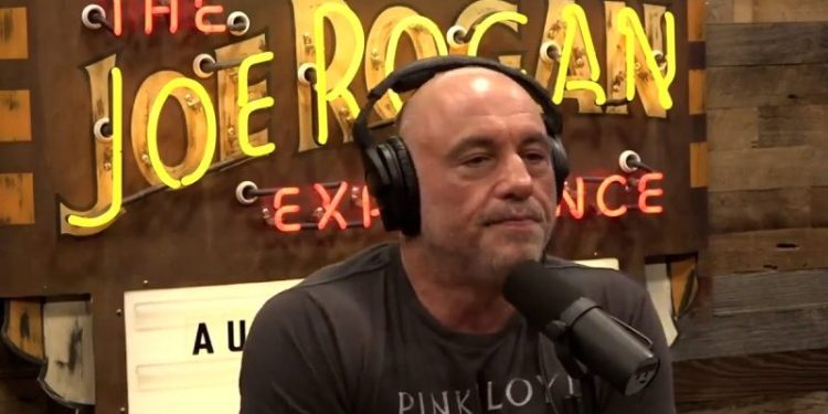 Trump gets last-minute round of big-name endorsements including Joe Rogan, son of Roberto Clemente