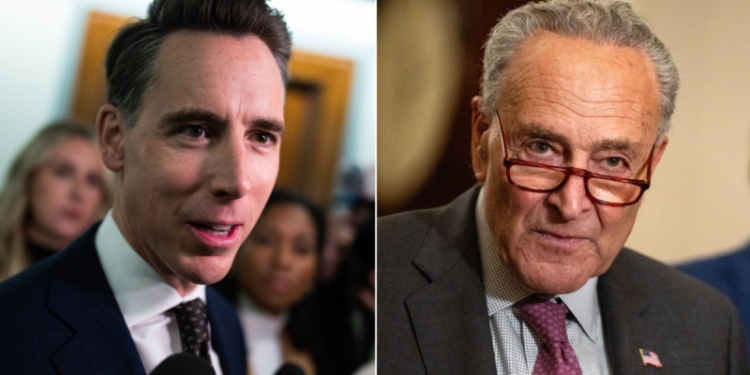 Conservatives tout victory after stopping last-minute Schumer push to confirm key agency head: ‘Outstanding’