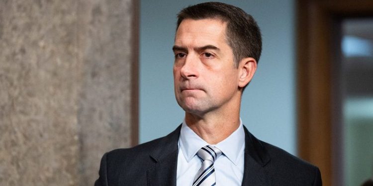 Senate Republicans launch effort to ban Chinese nationals from buying land in US