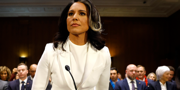 Top Senate Intelligence Dem grills Gabbard if Edward Snowden is ‘brave’: ‘Very troubling’