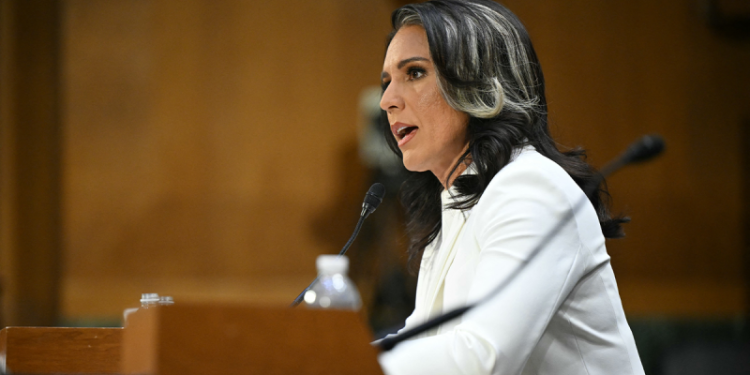 Gabbard sheds light on Assad visit, expresses shock intelligence community showed no interest at the time