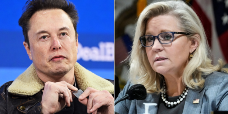 ‘Damn right’: Liz Cheney’s past USAID employment faces backlash after lashing out at Elon Musk
