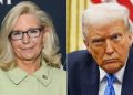 Liz Cheney lambastes Trump over Russia/Ukraine, branding him ‘the antithesis’ of all ‘Reagan stood for’