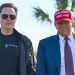 Trump ‘agreed’ on shutting down USAID, Elon Musk says