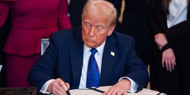 It’s amazing what we’re learning from how Trump is balancing chaos and change