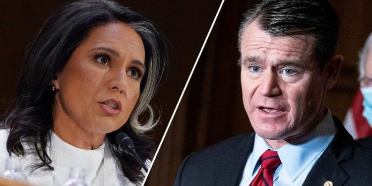 Tulsi Gabbard scores key committee Republican’s support ahead of pivotal vote