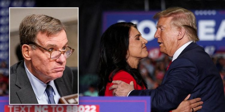 Trump lands key Tulsi Gabbard confirmation following uphill Senate battle