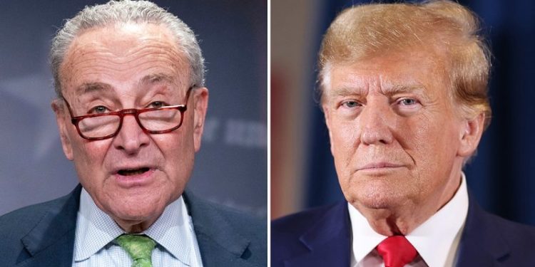 Chuck Schumer will vote to keep government open: ‘For Donald Trump, a shutdown would be a gift’