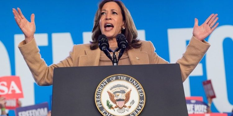 Harris launched ‘dark-arts operation’ against opponents for VP spot in 2020, new book claims
