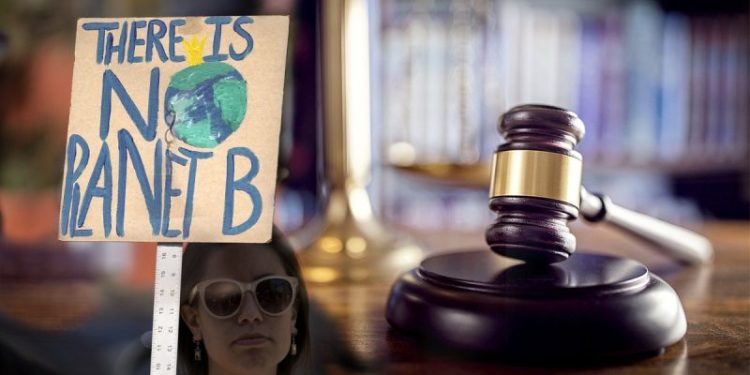 Top energy group calls for probe into secretive ‘national lawfare campaign’ to influence judges on climate