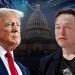 Trump admin reunites with Elon Musk in pursuit of AI dominance: ‘Benefit of the country’
