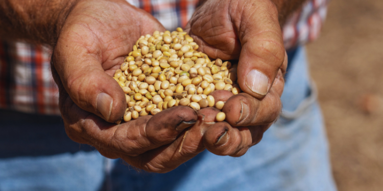 America’s quietest crop is set to take center stage in Trump–Xi talks